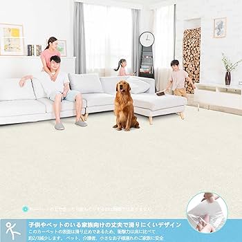 Amazon.co.jp: 【Amazon.co.jp限定】廊下敷き 廊下 カーペット